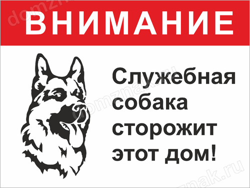 Внимание собаки. Табличка осторожно служебная собака. Территория охраняется собаками. Осторожно злая собака не привязана. Табличка осторожно питомник служебных собак.